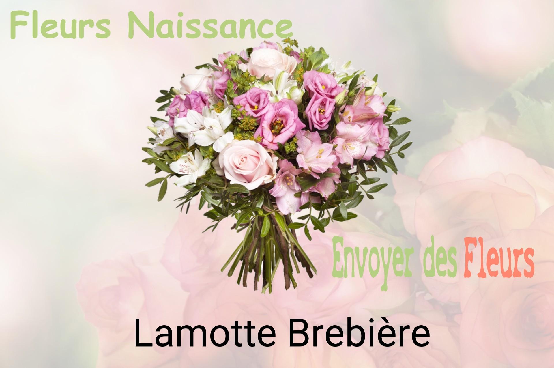 Bouquet de fleurs de naissance livré à Lamotte-Brebière