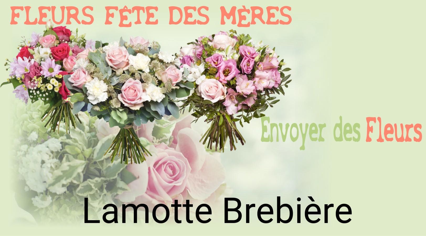 Bouquet de Fête des Mères livré à Lamotte-Brebière